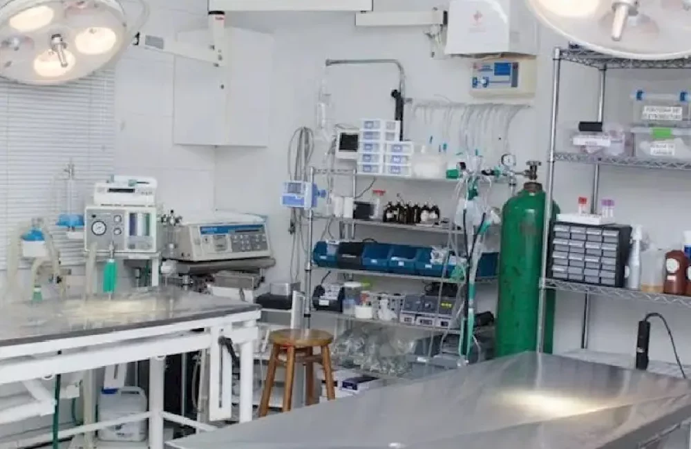 Com Tecnologia de ponta